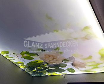 Glanz Spanndecken